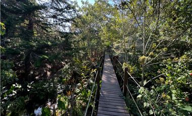 SE VENDE FINCA EN LA CEJA EN PARCELACIÓN LOTE 4534m2  ALTO. ARBORIZACI