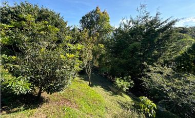 SE VENDE FINCA EN LA CEJA EN PARCELACIÓN LOTE 4534m2  ALTO. ARBORIZACI