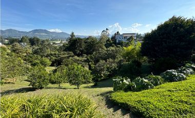 SE VENDE FINCA EN LA CEJA EN PARCELACIÓN LOTE 4534m2  ALTO. ARBORIZACI