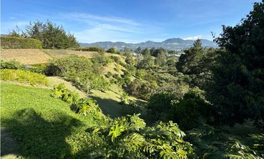 SE VENDE FINCA EN LA CEJA EN PARCELACIÓN LOTE 4534m2  ALTO. ARBORIZACI