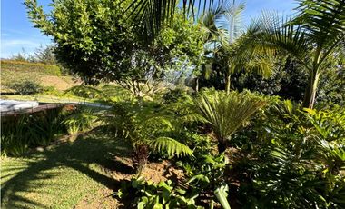 SE VENDE FINCA EN LA CEJA EN PARCELACIÓN LOTE 4534m2  ALTO. ARBORIZACI