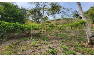 VENDO FINCA EN NOCAIMA  CUND