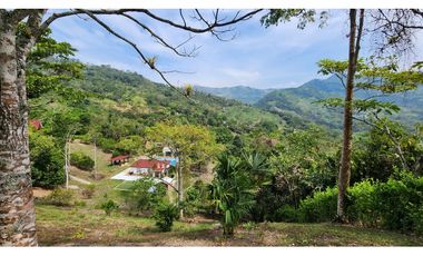 VENDO FINCA EN NOCAIMA  CUND