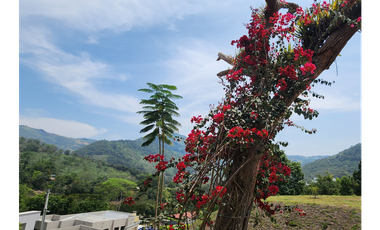 VENDO FINCA EN NOCAIMA  CUND