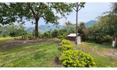 VENDO FINCA EN NOCAIMA  CUND