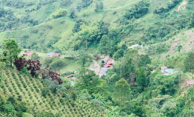 Finca en venta en la vereda Planadas, Santa Rosa de Cabal, Risaralda