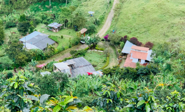 Finca en venta en la vereda Planadas, Santa Rosa de Cabal, Risaralda