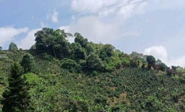 Finca en venta en la vereda Planadas, Santa Rosa de Cabal, Risaralda