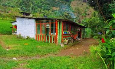 Finca en venta en la vereda Planadas, Santa Rosa de Cabal, Risaralda