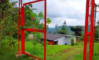 Finca en venta en la vereda Planadas, Santa Rosa de Cabal, Risaralda