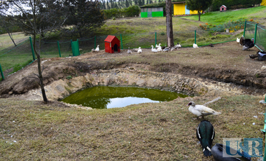 FINCA/LOTE EN SUESCA, CUNDINAMARCA