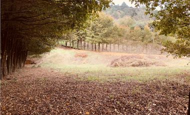 Venta Lote Parcelacion Vista Represa El Retiro