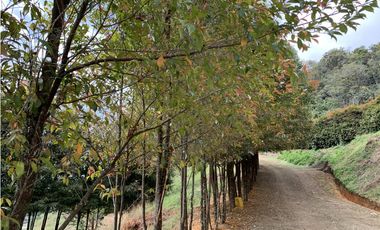 Venta Lote Parcelacion Vista Represa El Retiro