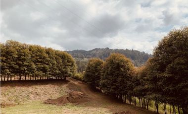 Venta Lote Parcelacion Vista Represa El Retiro