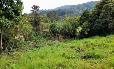 Venta de lote en Pueblo Viejo, La Estrella