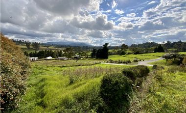 Venta Lote Parcelacion Alto Palmas Envigado