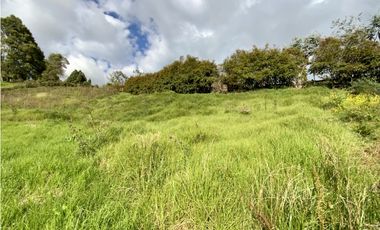 Venta Lote Parcelacion Alto Palmas Envigado