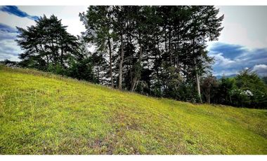 Lote Parcelacion Sector Fizebad El Retiro