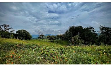 Lote Parcelacion Sector Fizebad El Retiro