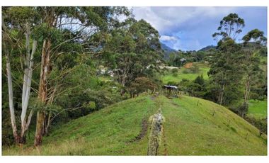 Venta Finca 26.352 m2 de lote con casa 120 m2 en Higueron, Rionegro.