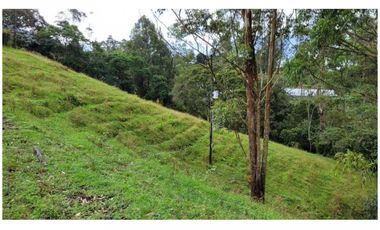 Venta Finca 26.352 m2 de lote con casa 120 m2 en Higueron, Rionegro.