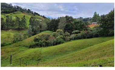 Venta Finca 26.352 m2 de lote con casa 120 m2 en Higueron, Rionegro.