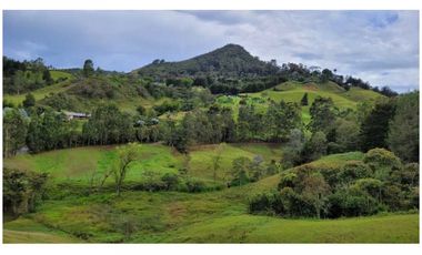 Venta Finca 26.352 m2 de lote con casa 120 m2 en Higueron, Rionegro.