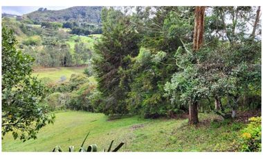 Venta Finca 26.352 m2 de lote con casa 120 m2 en Higueron, Rionegro.