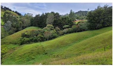 Venta Finca 26.352 m2 de lote con casa 120 m2 en Higueron, Rionegro.
