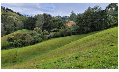 Venta Finca 26.352 m2 de lote con casa 120 m2 en Higueron, Rionegro.
