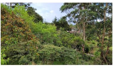 Venta Finca 26.352 m2 de lote con casa 120 m2 en Higueron, Rionegro.