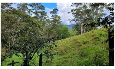 Venta Finca 26.352 m2 de lote con casa 120 m2 en Higueron, Rionegro.
