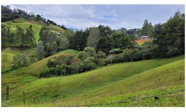 Venta Finca 26.352 m2 de lote con casa 120 m2 en Higueron, Rionegro.