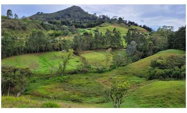 Venta Finca 26.352 m2 de lote con casa 120 m2 en Higueron, Rionegro.