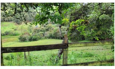 Venta Finca 26.352 m2 de lote con casa 120 m2 en Higueron, Rionegro.