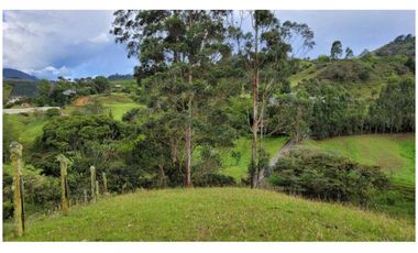 Venta Finca 26.352 m2 de lote con casa 120 m2 en Higueron, Rionegro.