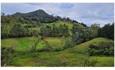 Venta Finca 26.352 m2 de lote con casa 120 m2 en Higueron, Rionegro.