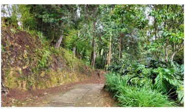 Venta Finca 26.352 m2 de lote con casa 120 m2 en Higueron, Rionegro.