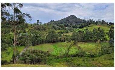 Venta Finca 26.352 m2 de lote con casa 120 m2 en Higueron, Rionegro.