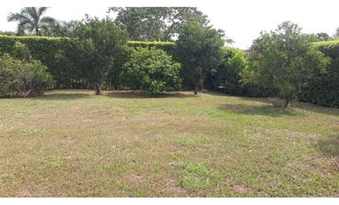 SE VENDE HERMOSO LOTE LA MORADA, JAMUNDI