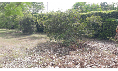 SE VENDE HERMOSO LOTE LA MORADA, JAMUNDI