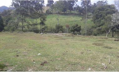 Lote en Venta en Caldas, Vereda la Miel