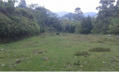 Lote en Venta en Caldas, Vereda la Miel