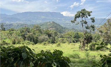 VENDO FINCA CON ESPECTACULAR VISTA EN SASAIMA