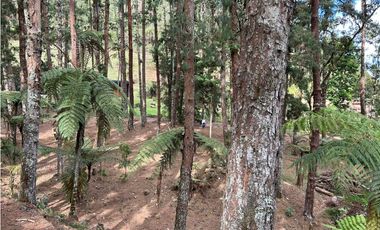 Vendo casa campestre en Unidad cerrada Retiro