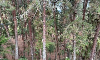 Vendo casa campestre en Unidad cerrada Retiro