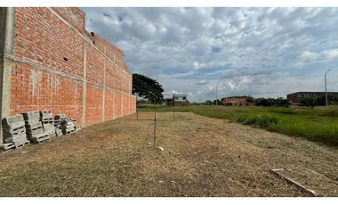 Lote terreno de 7.50 x 20 en venta Rozo Palmira Valle Colombia