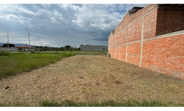 Lote terreno de 7.50 x 20 en venta Rozo Palmira Valle Colombia