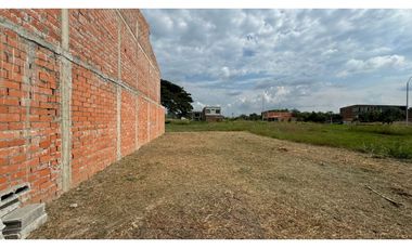 Lote terreno de 7.50 x 20 en venta Rozo Palmira Valle Colombia