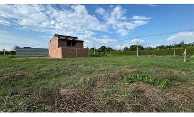 Lote terreno de 15 x 20 en venta Rozo Palmira Valle Colombia